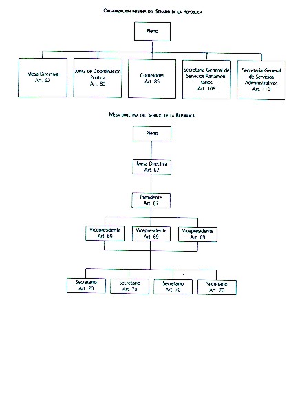 grafico2.jpg (33864 bytes)