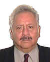 393.gif (37554 bytes)