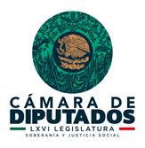 LOGO 65